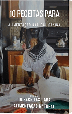 10 Receitas para alimentação natural canina