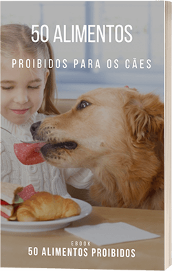 50 Alimentos proibidos para os cães