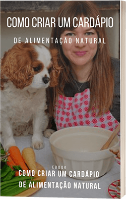 Como criar um cardapio de alimentação natural canina