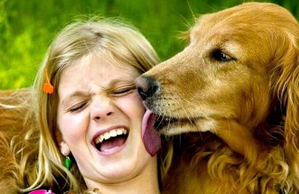 cachorro lambendo menina