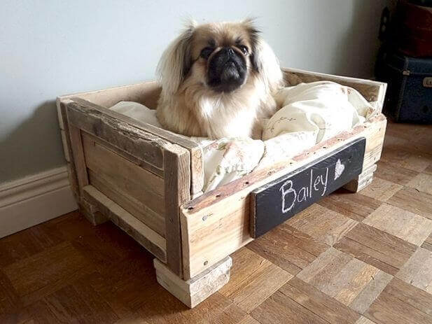 cama caseira para cachorro