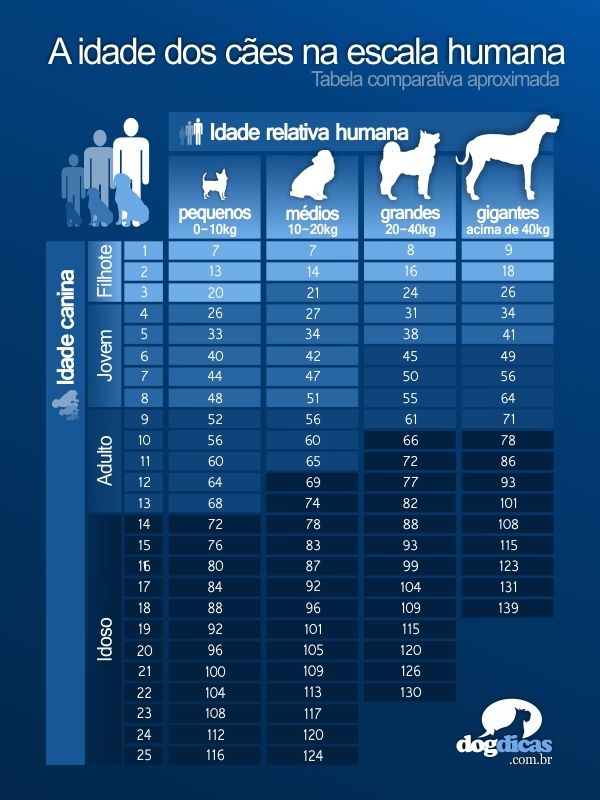 gráfico para calcular idade canina