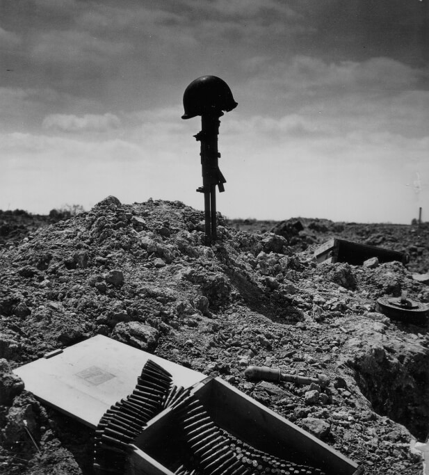 Leonberger na guerra mundial