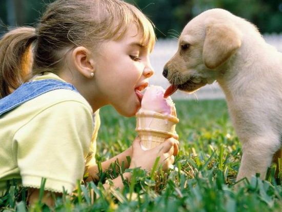menina tomando sorvete com cachorro