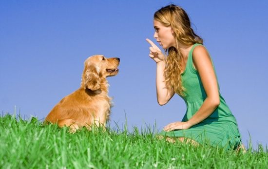 mulher conversando com cachorro