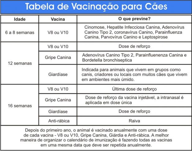 tabela de  vacinação para cães