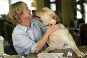 5 Formas que seu cachorro demonstra que te ama
