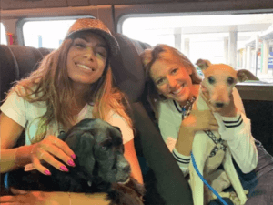 Anitta adota três cachorros com deficiência