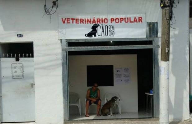 Clínica veterinária popular