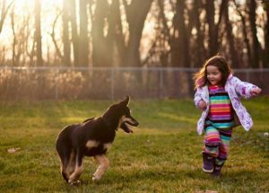 5 Lições de vida que as crianças aprendem com os cães