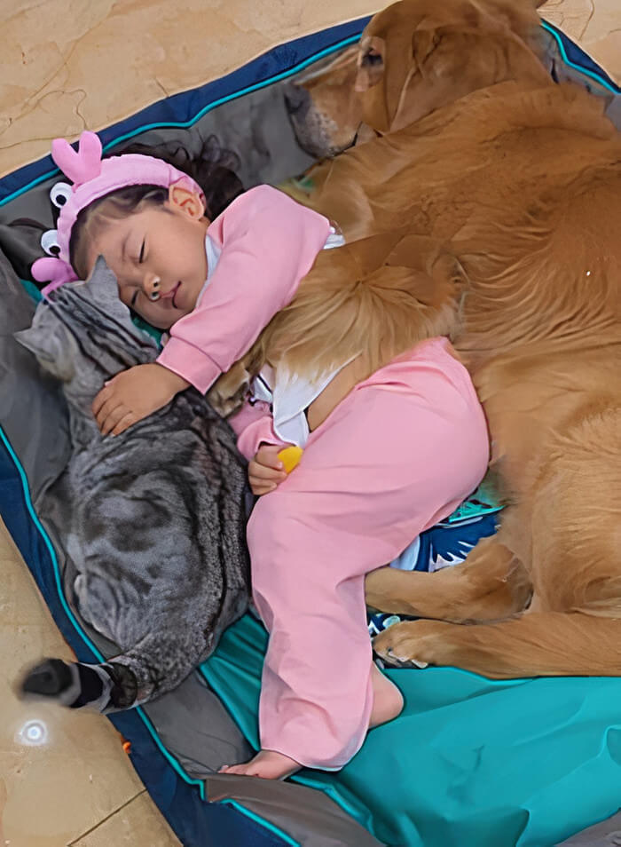 menina dormindo com seu cão e gato